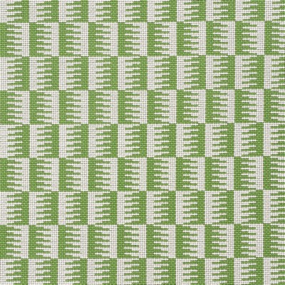 Schumacher Fabric DOVETAIL GREEN