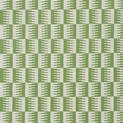 Schumacher Fabric DOVETAIL GREEN