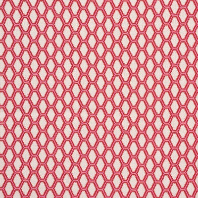 Schumacher Fabric BEEHIVE VALENTINE