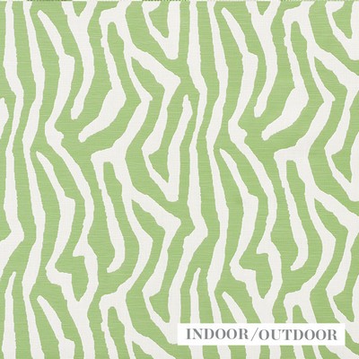 Schumacher Fabric AMANZI LEAF