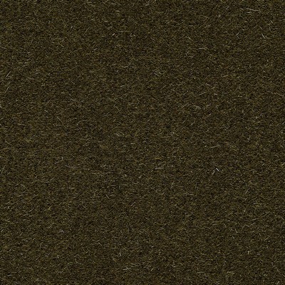 Schumacher Fabric SAN CARLO MOHAIR VELVET OLIVE