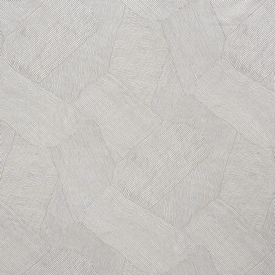Schumacher Fabric BURNETT DOVE