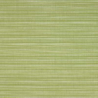 Kravet COASAL BAMBOO