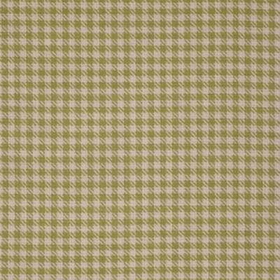 Kravet SHASTA CACTUS