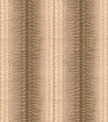 Kravet MODERN ELEGANCE I BLANC