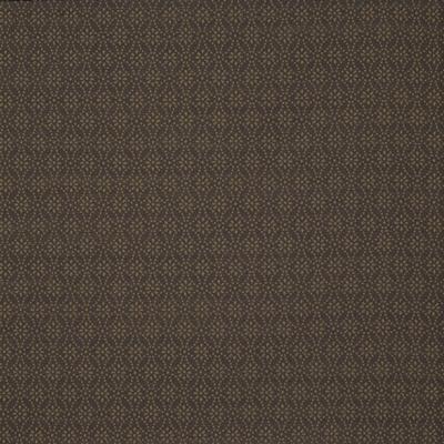 Kravet INGENUE CLOVE