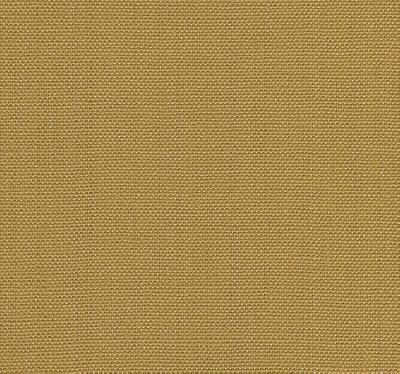 Kravet WATERMILL GOLD