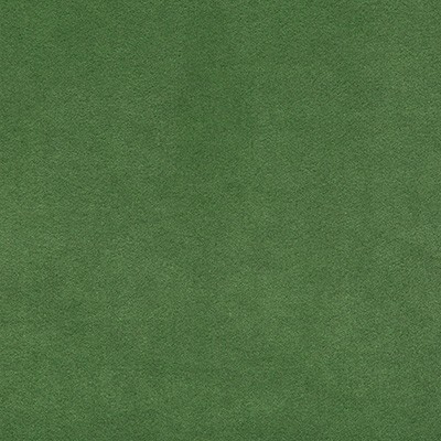 Kravet ULTRASUEDE GREEN GRASS