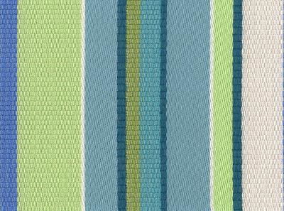 Kravet CUMMERBUND TROPICALE