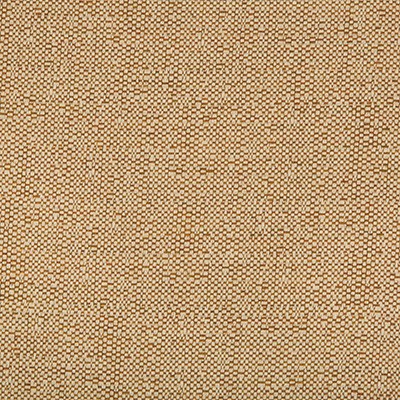 Kravet OCEAN TREASURES SPICE