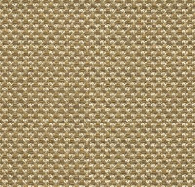 Kravet POLO TEXTURE DRIFTWOOD