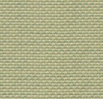Kravet POLO TEXTURE BIMINI