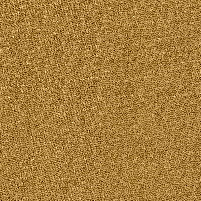 Kravet IZZIE GOLD RUSH
