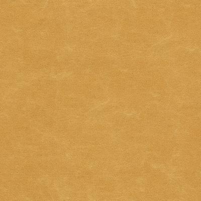 Kravet SHOOTING STAR CARAMEL