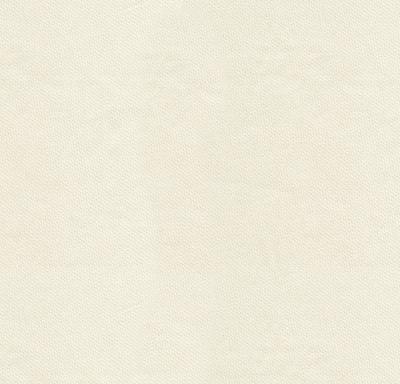 Kravet SARASOTA OFF WHITE