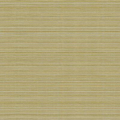 Kravet CAMPANIA KIWI