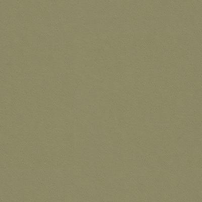 Kravet MULLER NICKEL