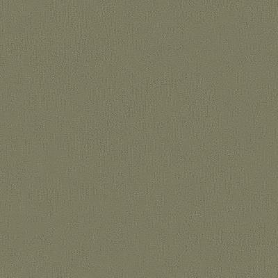 Kravet CARMINE SMOKE