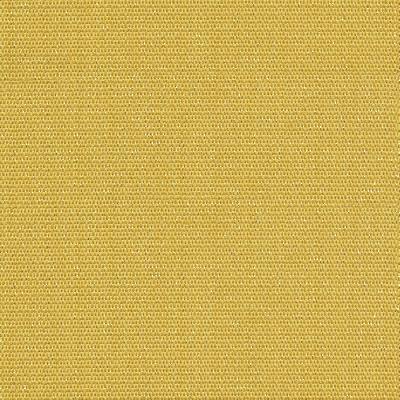 Kravet WINK SUNFLOWER