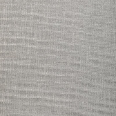 Kravet 33120 2101