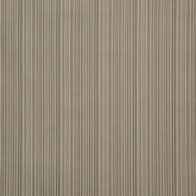 Kravet WALK THE PATH RAIN