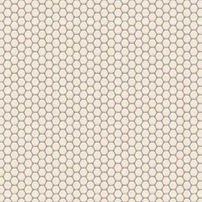 Kravet ENCIRCLE MIST