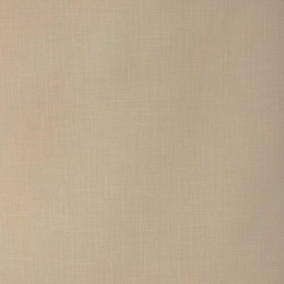 Kravet 33842 1011