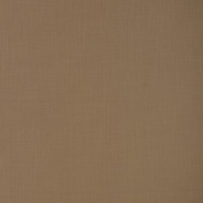 Kravet 33842 6116