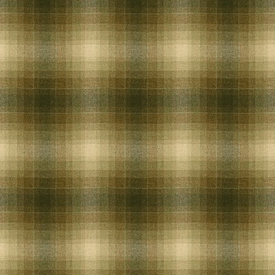 Kravet TOBOGGAN PLAID HEMLOCK