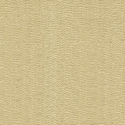 Kravet SNEAK PEEK SHELL