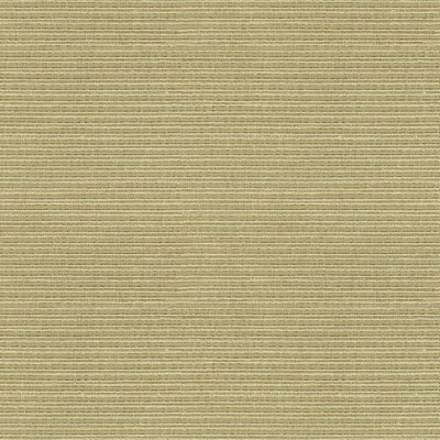 Kravet BIG PICTURE PEBBLE