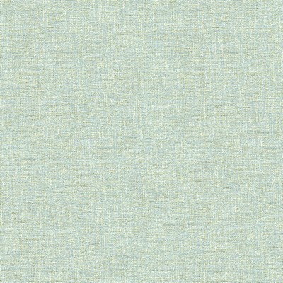 Kravet ETCHED CHIC GLACIER