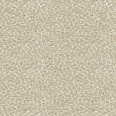 Kravet POLKA DOT SATIN PUMICE