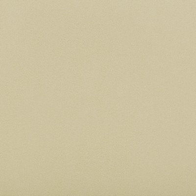 Kravet SUEDE TEXTURE BISQUE