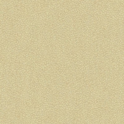 Kravet JATOBA OYSTER