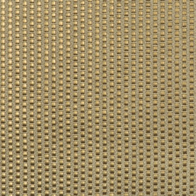 Kravet TENDEZA BURNISHED