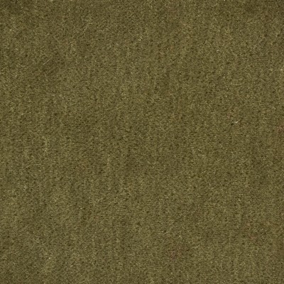 Kravet WINDSOR MOHAIR TIMBER