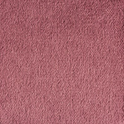 Kravet PLAZZO MOHAIR TULIPWOOD