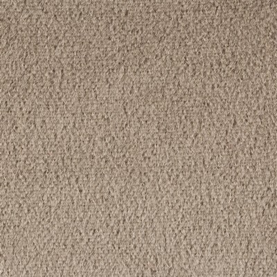 Kravet PLAZZO MOHAIR FAWN