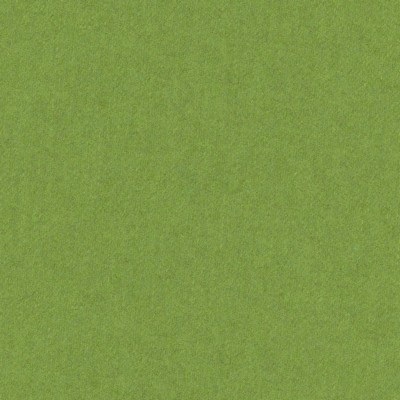 Kravet JEFFERSON WOOL SPROUT