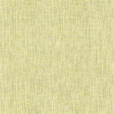 Kravet BENECIA CELERY
