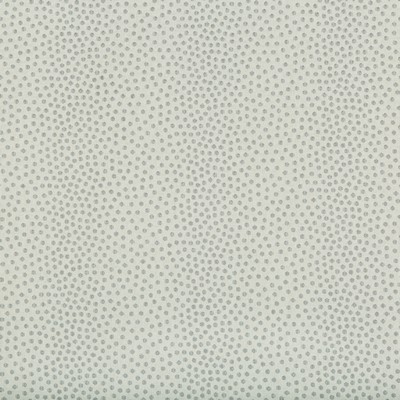 Kravet 34710 1611