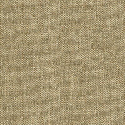 Kravet 34730 14