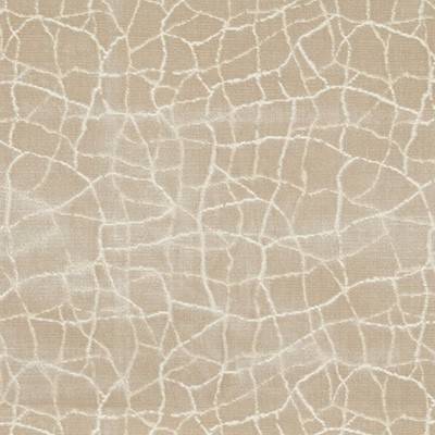 Kravet FORMATION CHAMPAGNE