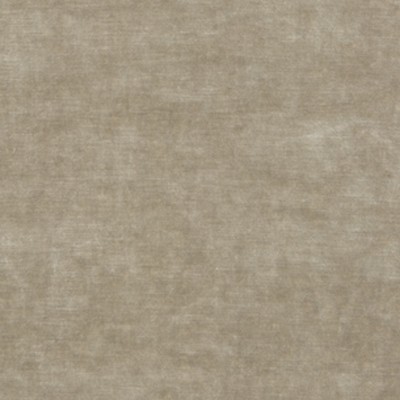 Kravet QUEENS VELVET PARCHMENT