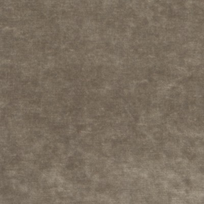 Kravet QUEENS VELVET MINK