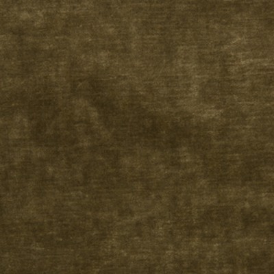 Kravet QUEENS VELVET GOLD