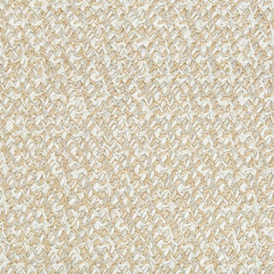 Kravet LACING CASHEW