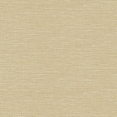Kravet 34959 1116