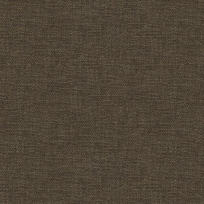 Kravet 34959 621
